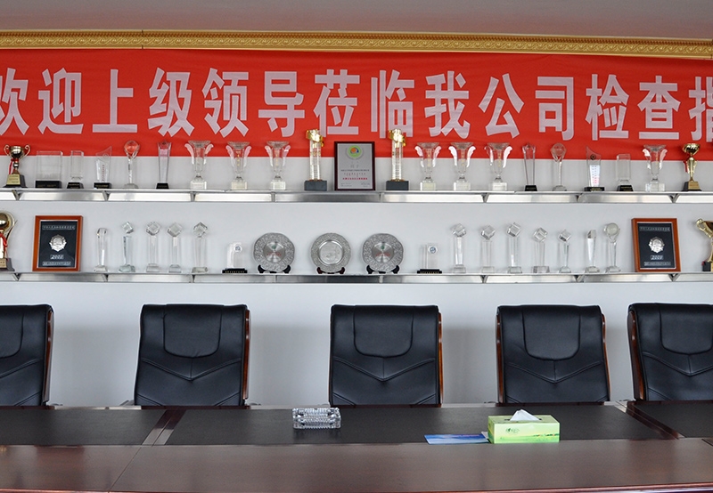 獎(jiǎng)杯展示