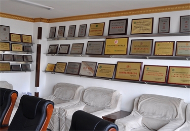 獎(jiǎng)杯展示