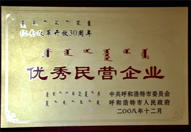 優(yōu)秀民營企業(yè)