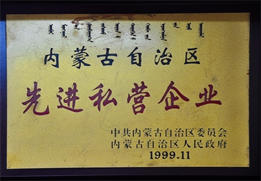 內(nèi)蒙古自治區(qū)先進私營企業(yè)