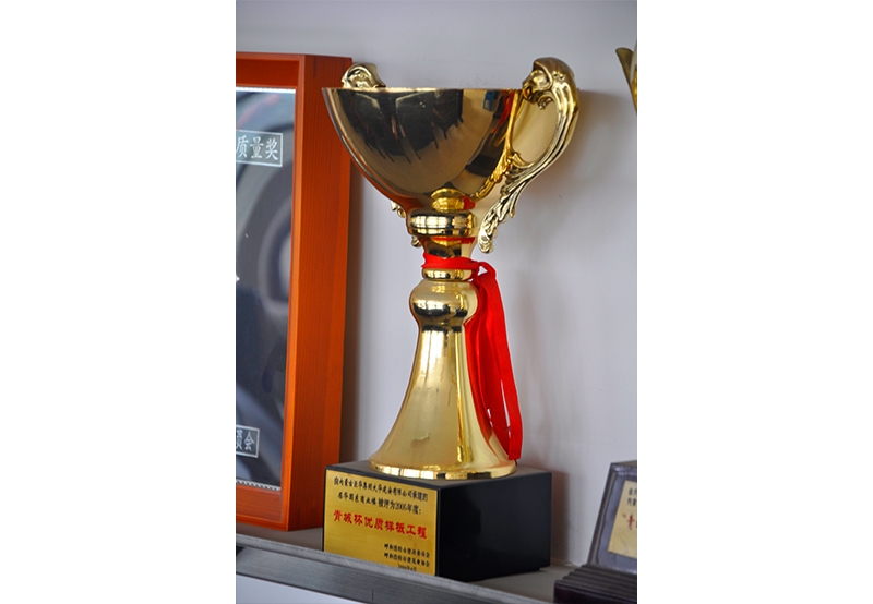 青城杯優(yōu)質樣板工程