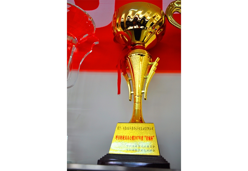 呼市財(cái)政局辦公樓2007年度"辦公樓"