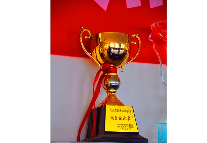 優(yōu)秀企業(yè)家