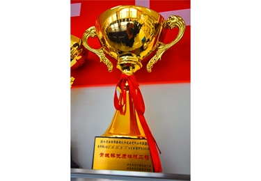 青城杯優(yōu)質(zhì)樣板工程