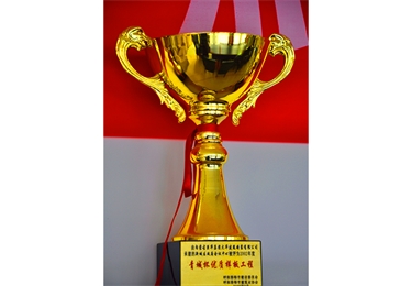 青城杯優(yōu)質樣板工程